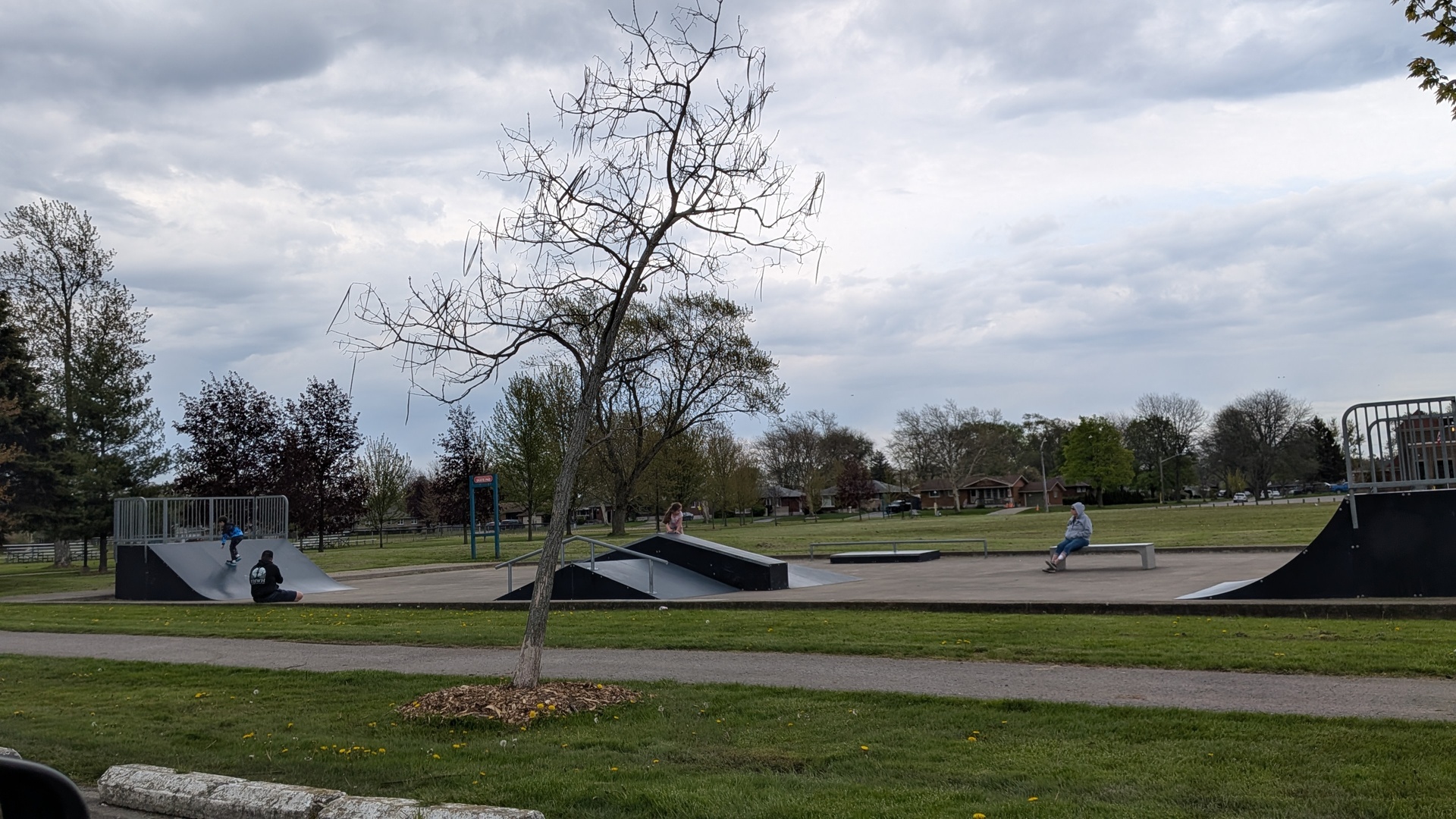 Chippawa feature image